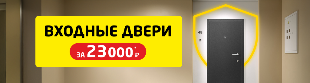 Входные двери за 23 000 р.